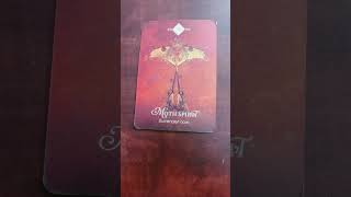 311 Sagittarius  Spirit Animal Oracle Message [upl. by Ayidah294]