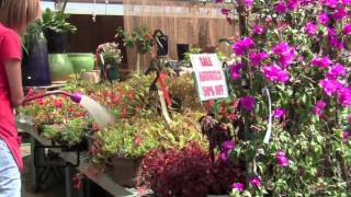 Jareds Nursery amp Garden Center Littleton Colorado [upl. by Davenport]