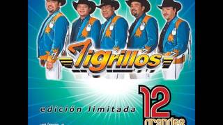 Los tigrillos Se baila asi mix [upl. by Tormoria]