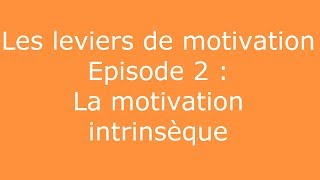 Leviers de motivation 2  La motivation intrinsèque [upl. by Eatnoj]