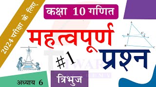 Class 10 Maths Chapter 6 Triangles Important Questions in Hindi Medium by Tiwari Sir [upl. by Kohn]