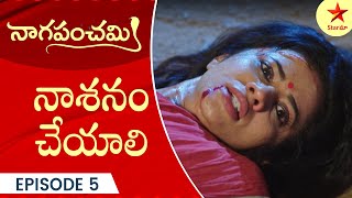 Naga Panchami  Episode 5 Highlight 4  Telugu Serial  StarMaa Serials  Star Maa [upl. by Cassandra]