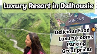 Hotel Mongas Dalhousie  Best Property in Whole Dalhousie  Mongas Hotel and Resort  Best Resort [upl. by Yendor]