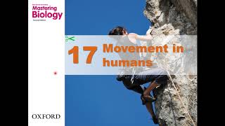 HKDSE Biology  Movement in Humans  Part 1 [upl. by Htiek290]