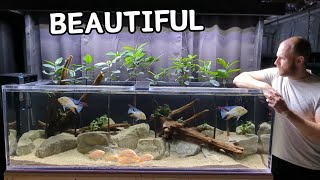 My SHOWSTOPPING Aquarium  DIY Acrylic Build [upl. by Ikkin]