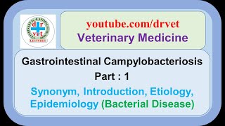 Gastrointestinal campylobacteriosis Part I  synonym introduction etiology epidemiology [upl. by Ribal]