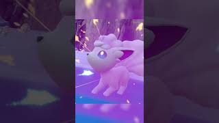 Shiny Alolan Vulpix In Pokemon Scarlet Indigo Disk shinypokemon [upl. by Ahsuoj223]