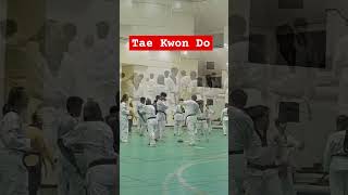 Ujian Kenaikan Tingkat I DAN POOM I Penyeragaman I Taekwondo Masters I Taekwondo Indonesia I 태권도 I [upl. by Boylston558]