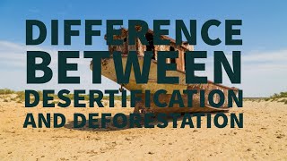 DIFFERENCE BETWEEN DESERTIFICATION AND DEFORESTATION [upl. by Lletnahs174]