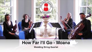 How Far Ill Go  Aulii Cravalho Moana Wedding String Quartet [upl. by Adlar354]