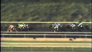 1978 Santa Anita Derby Affirmed Wins The RARE Full Race Version [upl. by Waterman]