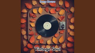 Vintage Soul [upl. by Haraf]