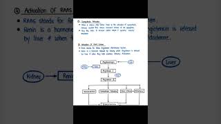 Pathogenesis of Hypertension pathophysiology b pharm second semester [upl. by Kcirddor]