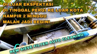 KOLAM SISTEM RAS DENGAN NEW SIEVE FILTER AUTO CLEANING SYSTEM DI TINGGAL PERGI KE LUAR KOTA [upl. by Lambrecht]