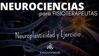 NEUROPLASTICIDAD Y EJERCICIO [upl. by Nirred]