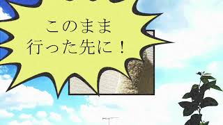 【東北きりたん・ずんだもん】やってやる【オリジナル曲】 [upl. by Elawalo591]