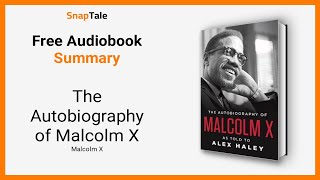 The Autobiography of Malcolm X by Malcolm X 12 Minute Summary [upl. by Sinegold]