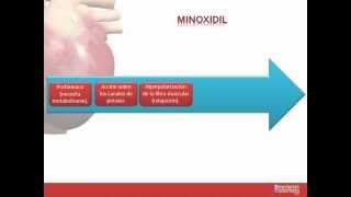 Tema 26 FARMACOLOGÍA CARDIOVASCULAR Fármacos indicados para la Hipertensión Arterial [upl. by Mccreery]