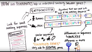 What is Bioinformatics [upl. by Ysnat313]