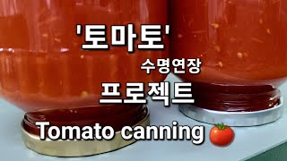 토마토 이렇게 만들면 질병예방 혈관건강 다이어트까지1년간 보관 가능토마토 최고👍 [upl. by Hilaria479]