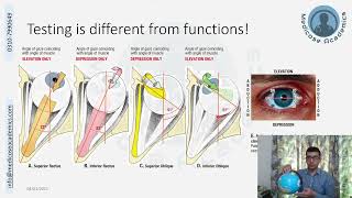 Testing Extraoccular Muscles [upl. by Sadoc]