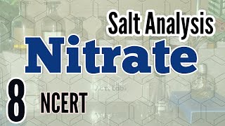 Identification of Nitrate  Salt Analysis series NCERT [upl. by Oiruam]