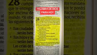 Deuteronomio 2817 NTV fe motivation jovenescristianos biblia jesus viralvideo [upl. by Kcorb]