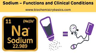 Sodium  Functions and Clinical Conditions  Hypernatremia and Hyponatremia  Sodium [upl. by Atsiuqal]