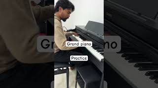 Grand piano  Beethoven viralshorts trendingshorts [upl. by Derag]