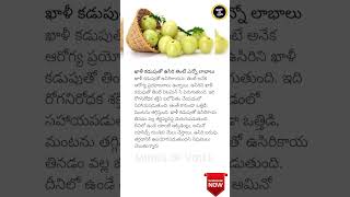 Benefits of Eating Amla on an Empty Stomach HealthTips [upl. by Harriman716]