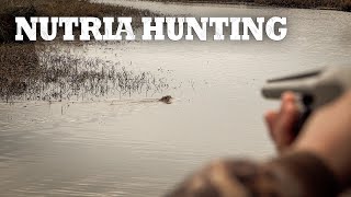 The Ultimate Nutria Hunting Video  Louisiana Nutria Hunt [upl. by Harts]