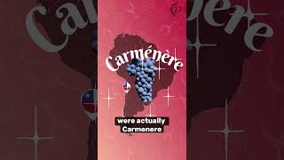 Carmenère Explained 🍷🇨🇱 ✅ [upl. by Sixel]