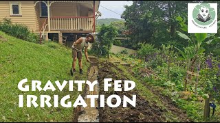 Gravity Fed Irrigation [upl. by Anivlek]