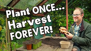 5 MustGrow Perennial Vegetables Harvest Year After Year 👩‍🌾 [upl. by Enylodnewg350]