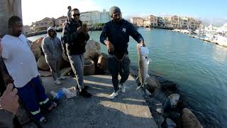 Kob Fishing in False Bay [upl. by Katrine580]