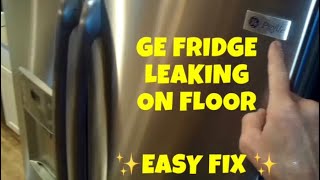 Stop Your Fridge from Leaking Heres a Simple Solution [upl. by Anirec296]