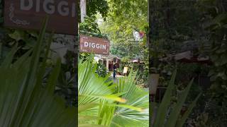 Best cafe for couples  Best cafe in Delhi  Diggin Cafe Delhi  pizza lovers [upl. by Lleze450]