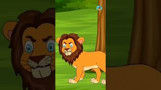 Khargosh ki chaturai cartoon video hindikahaniya animation stories [upl. by Menell70]