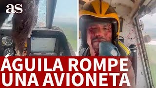 ACCIDENTE AVIÓN se ESTRELLA PÁJARO GIGANTE con un AVIÓN Aterrizaje salió bien  AS [upl. by Zachariah]