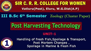 1BSc 36 Zoology Post Harvesting Technology Unit 1 Handling of fresh Fish Spoilage amp Transport [upl. by Ahsemik482]