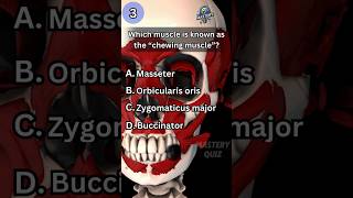 Medical Anatomy Quiz 2 shorts anatomy quiztime medical [upl. by Joceline376]