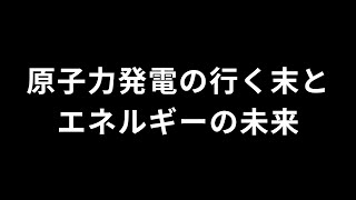 原子力発電の行く末とエネルギーの未来〜原子力の専門家が共同声明 [upl. by Llehsal]