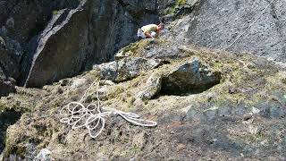 Sheep saved from certain death by climber [upl. by Laden982]