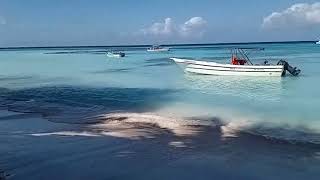 Saona Island Dominican Republic [upl. by Eerihs705]