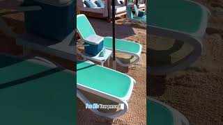 Is renting daybed at CocoCay worth it cococay travel beach luxurytravel [upl. by Ynahpit485]