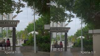 Xperia 1 III vs Xperia 1 II on mcpro24fps OIS  EIS cloudy day small comparison [upl. by Ab]