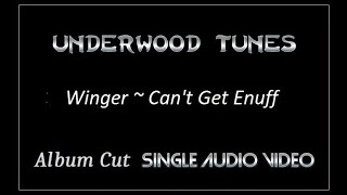 Winger  Cant Get Enuff  1990  Single Audio Video [upl. by Hayott]