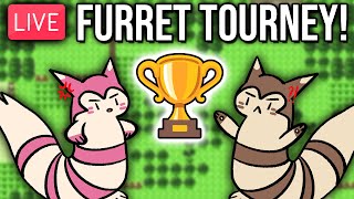 The FULL FurretOnly Pokemon Tournament [upl. by Hanan]