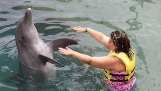 Swimming With Dolphins Cozumel Mexico  DOLPHINARIS [upl. by Sinnej]