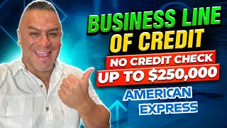 How to Get a Business Line of Credit with No Credit Check  American Express [upl. by Enirac]